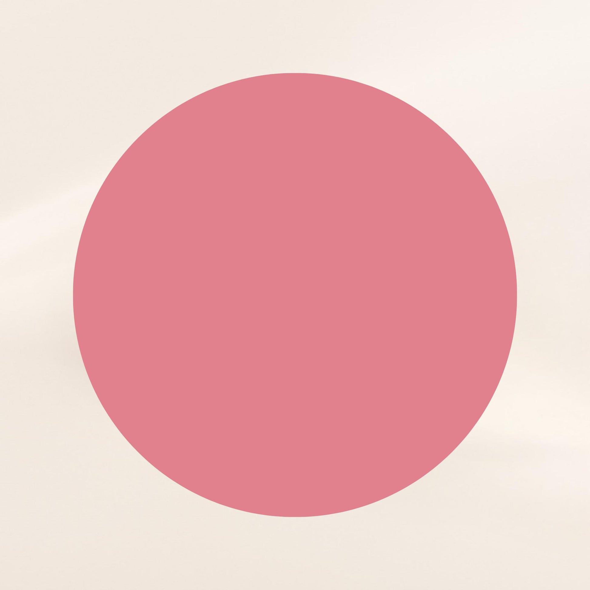 Oplenza Opulent Matte Lip Kit-Sage swatch