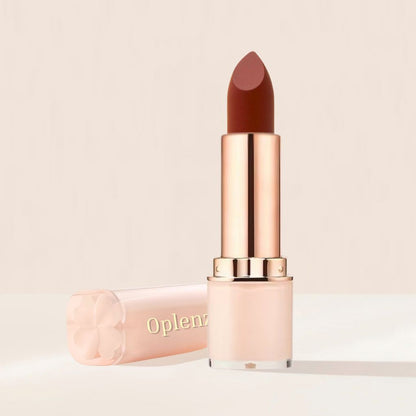 Signature Moist-Matte Lipstick shade 13 Ground Rules